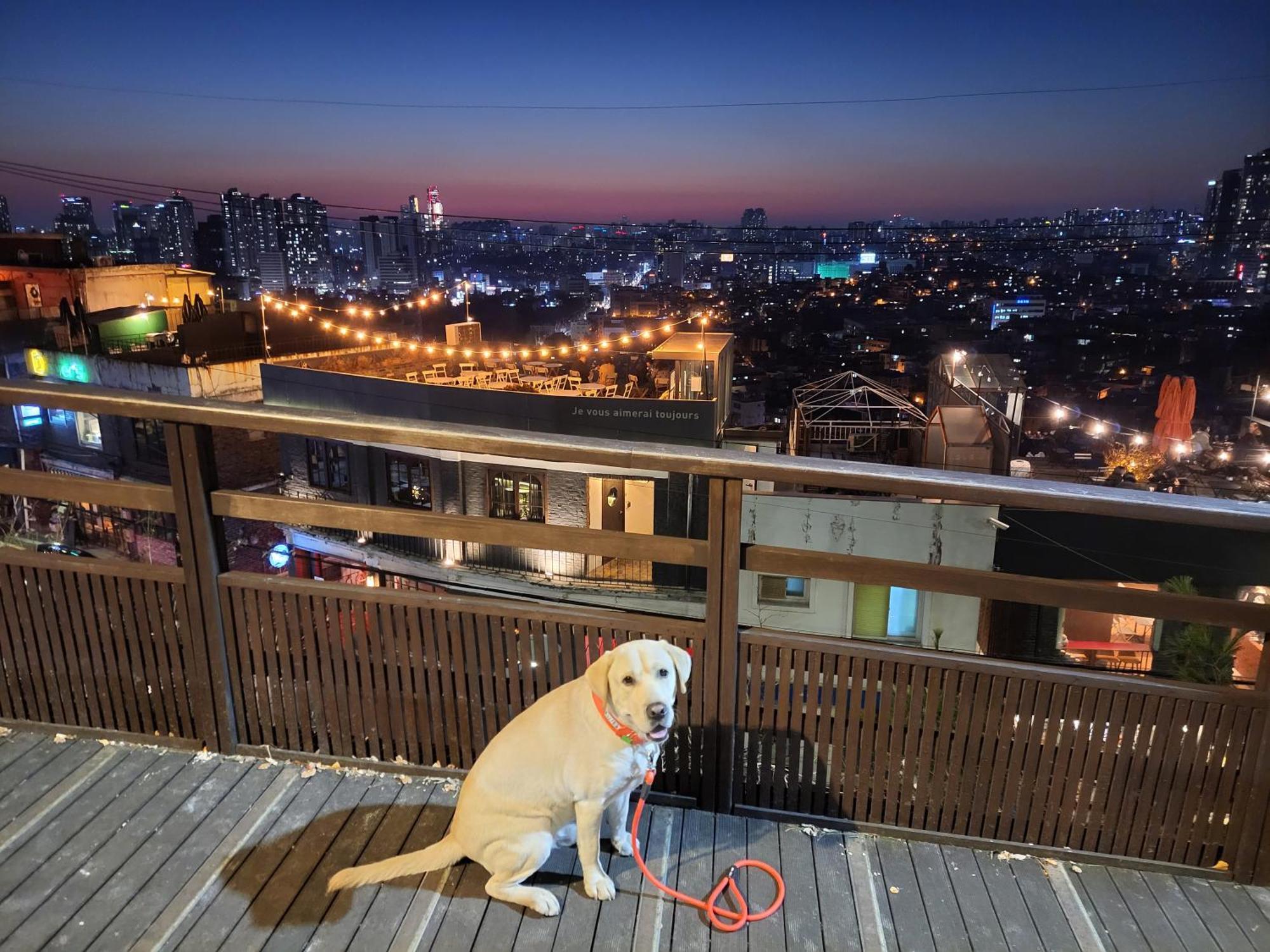 Brand New 2 Bedroom Apartment #6 Seoul Exterior photo