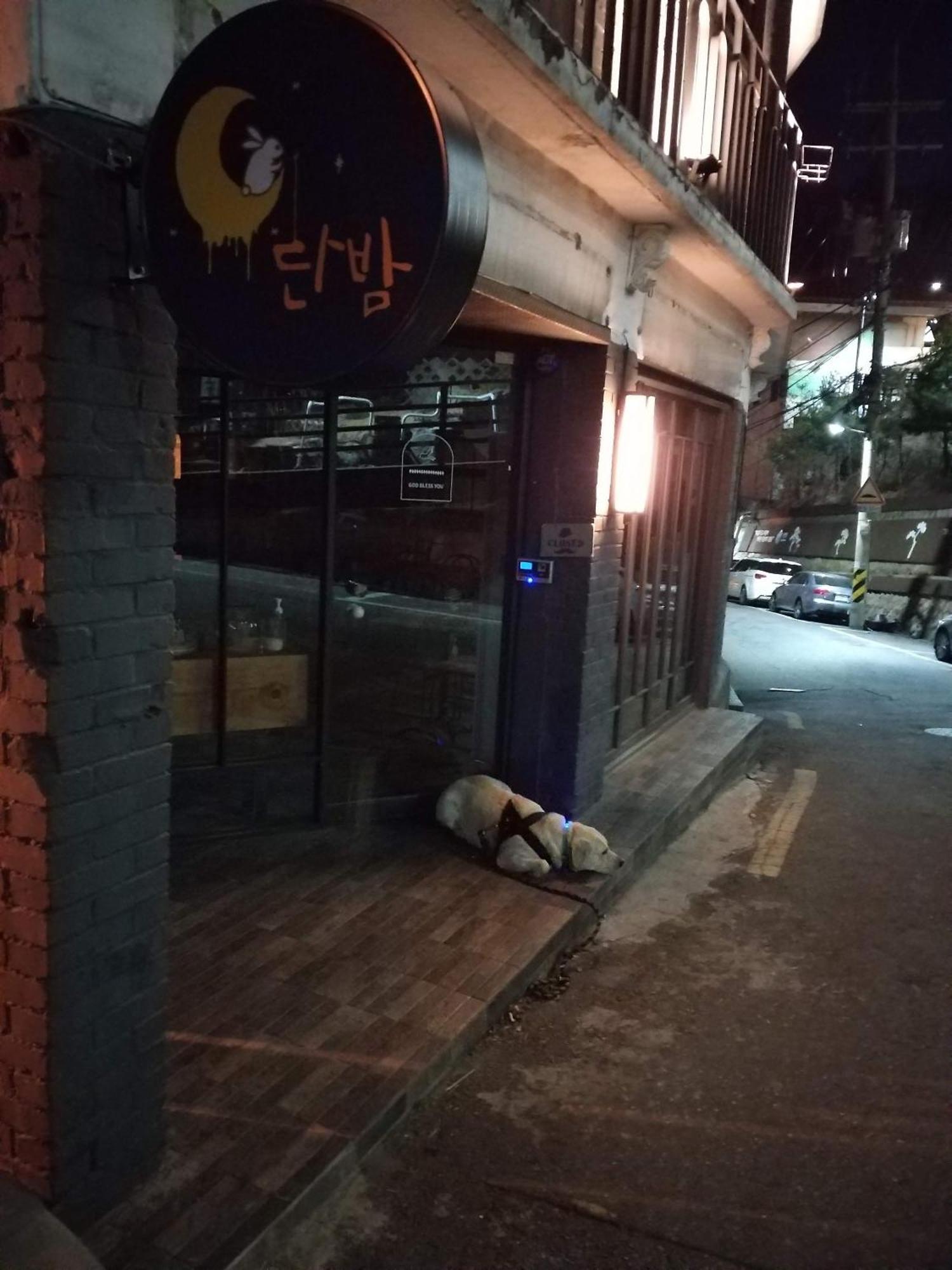 Brand New 2 Bedroom Apartment #6 Seoul Exterior photo